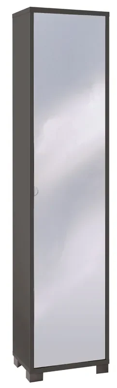 1-türiger Kleiderschrank mit Spiegel 43x190x29 cm Titan