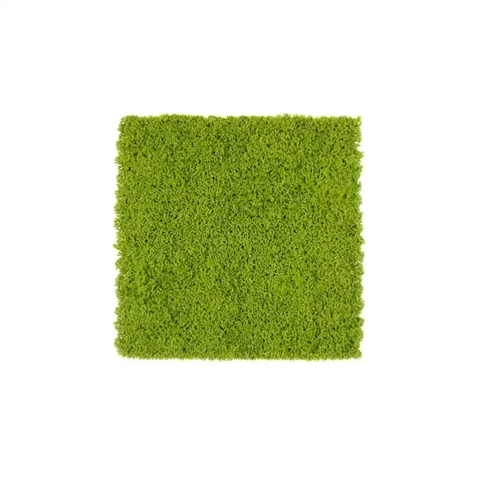 Siepe artificiale 50×50 cm Muschio Xone