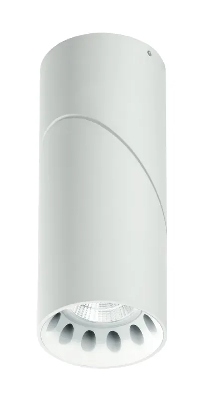 Zylindrischer verstellbarer Strahler Aluminium Weiß Einbau-LED 15 Watt Warmes Licht Intec LED-GENESIS-15W